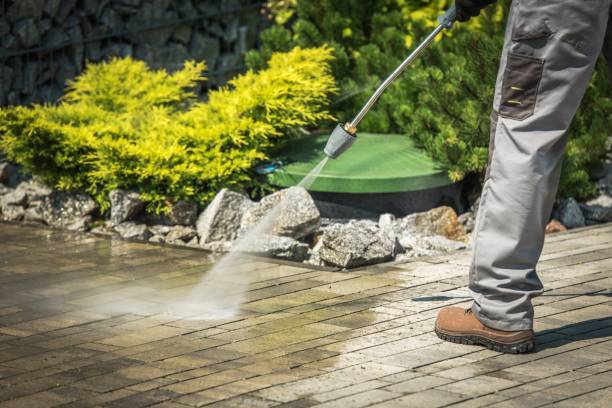 Best Gutter Cleaning  in Manchester, GA